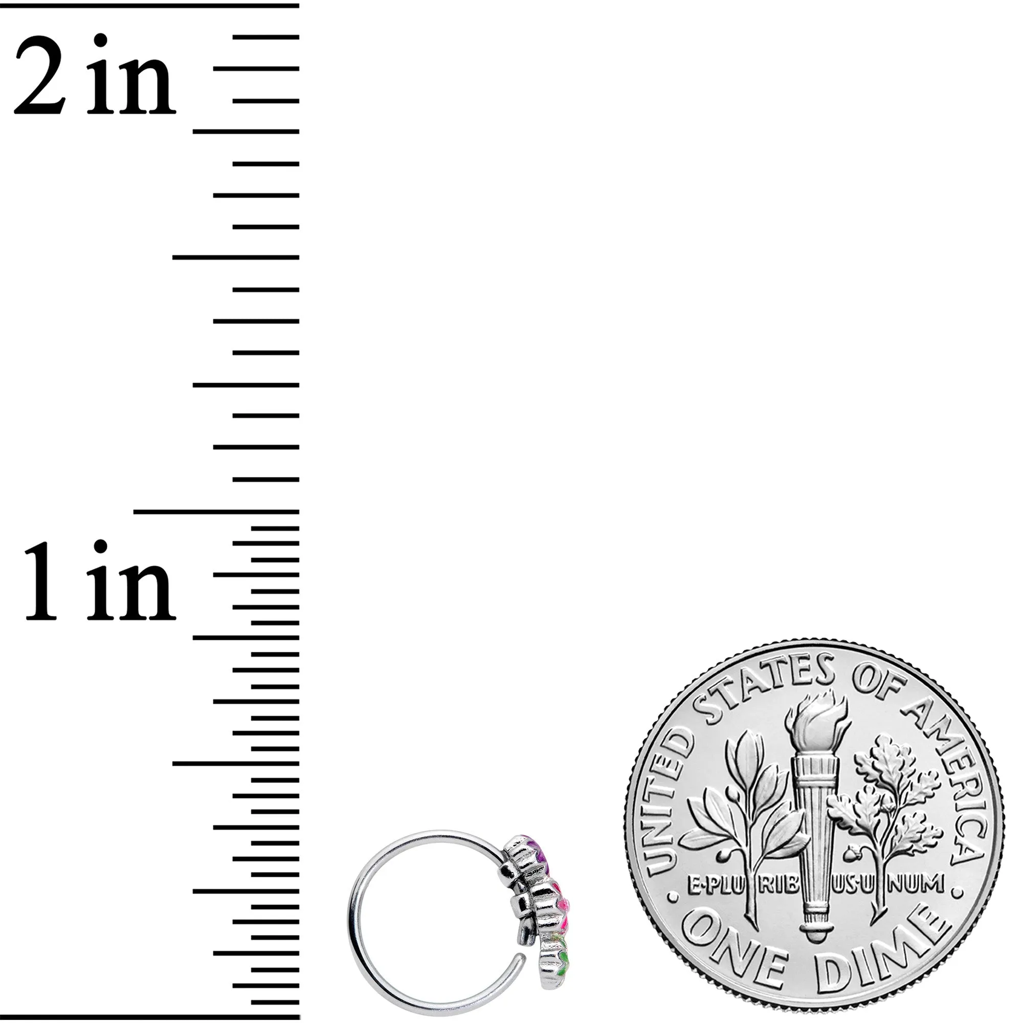 20 Gauge 5/16 Flower Patch Nose Hoop