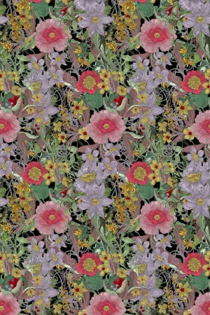 berkeley blooms wallpaper