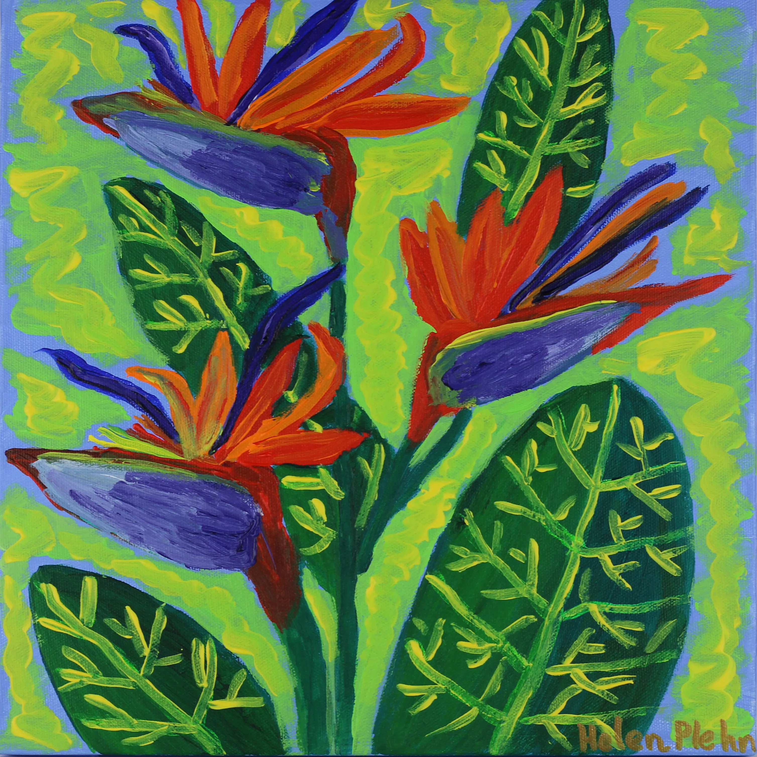 Bird of Paradise