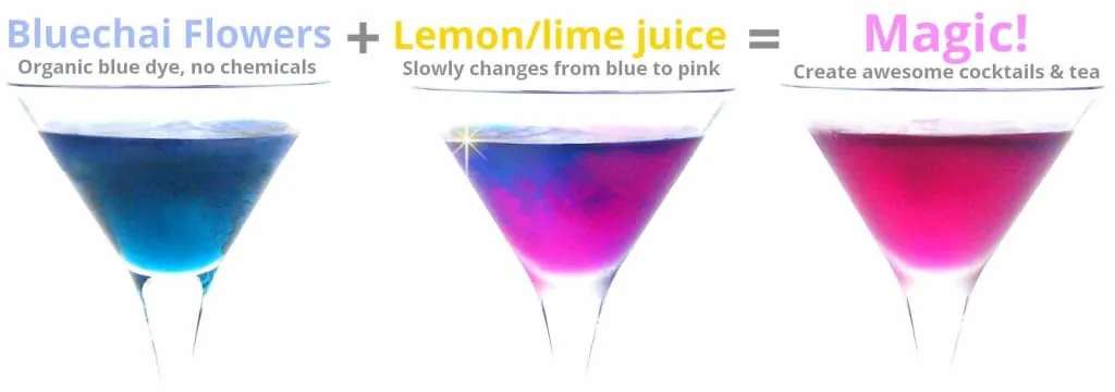 Blue Butterfly Color Changing Tea
