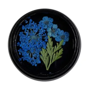 Blue Dried Flowers