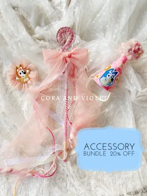 BLUEY accessory bundle