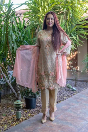 Chiffon Silk Embroidery Suit-Salwar Kameez