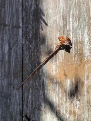Chrysanthemum Flower Garden Gold Hair Stick