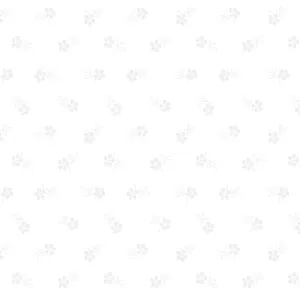 Classic Keepsakes 14657-09 Daisy Garden White