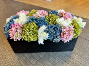 Colorful Boxwood in Black