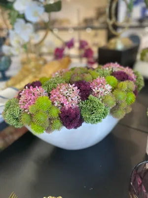 Colorful sedums in oval white pot #112
