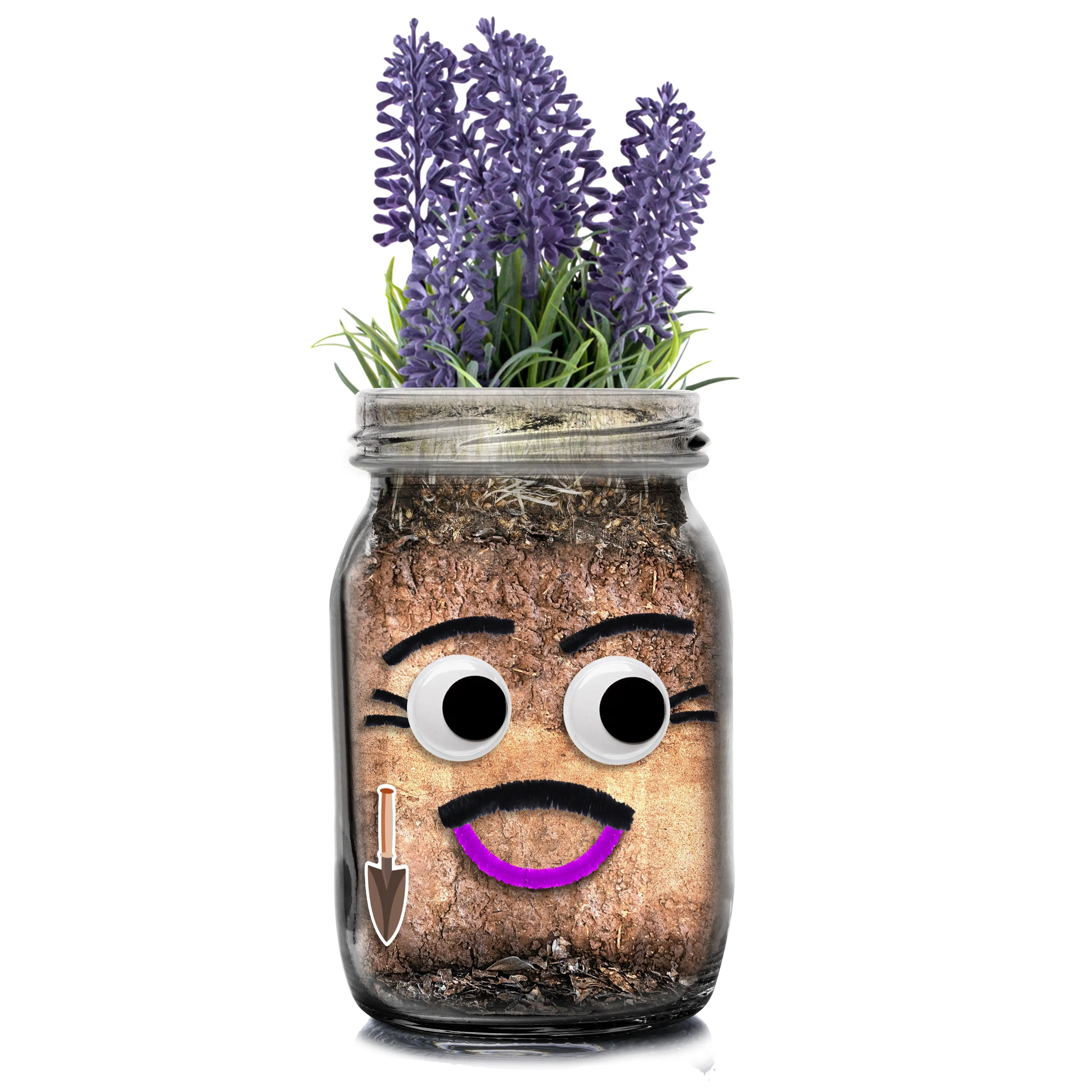 Diy Flower Head Planting Jar Kit