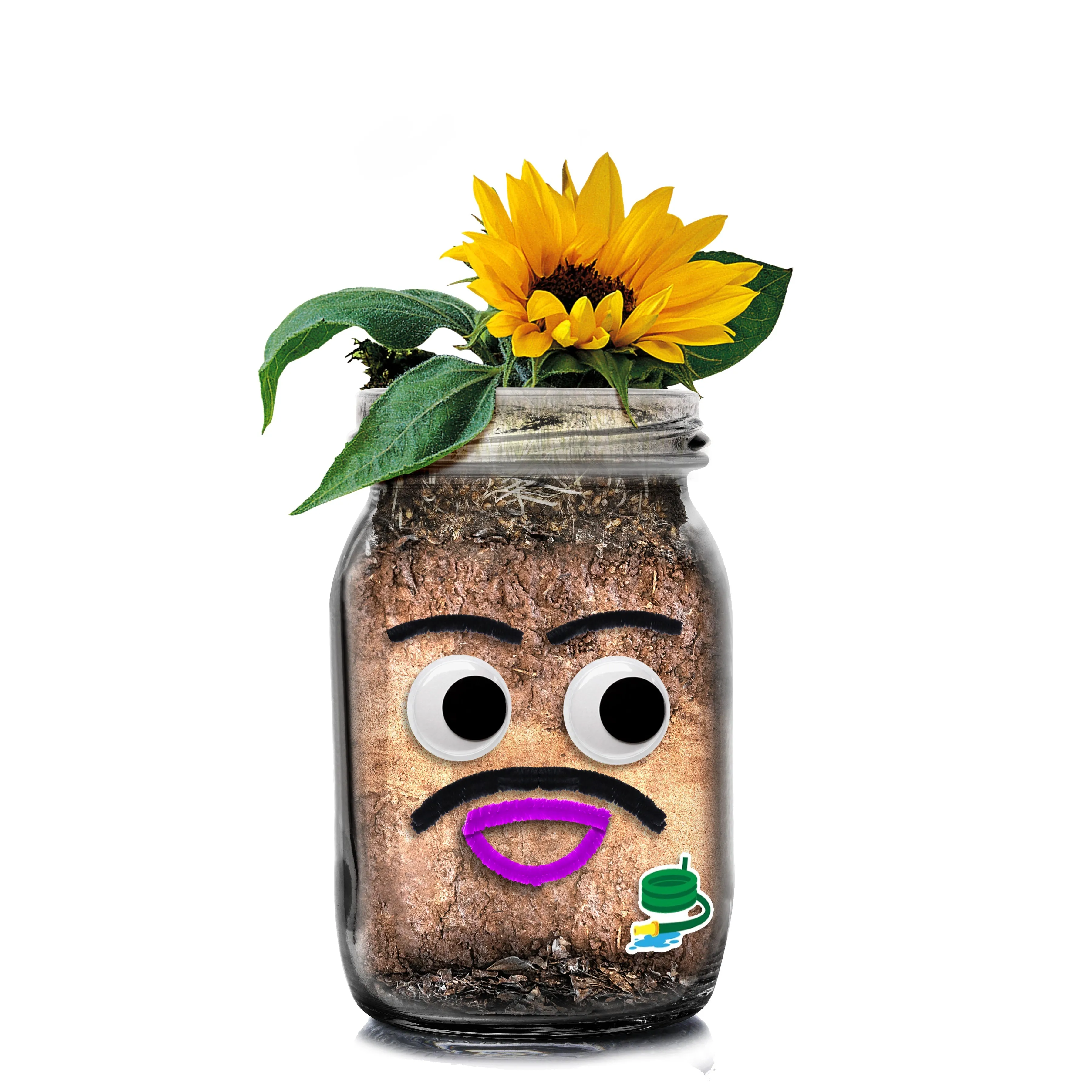 Diy Flower Head Planting Jar Kit