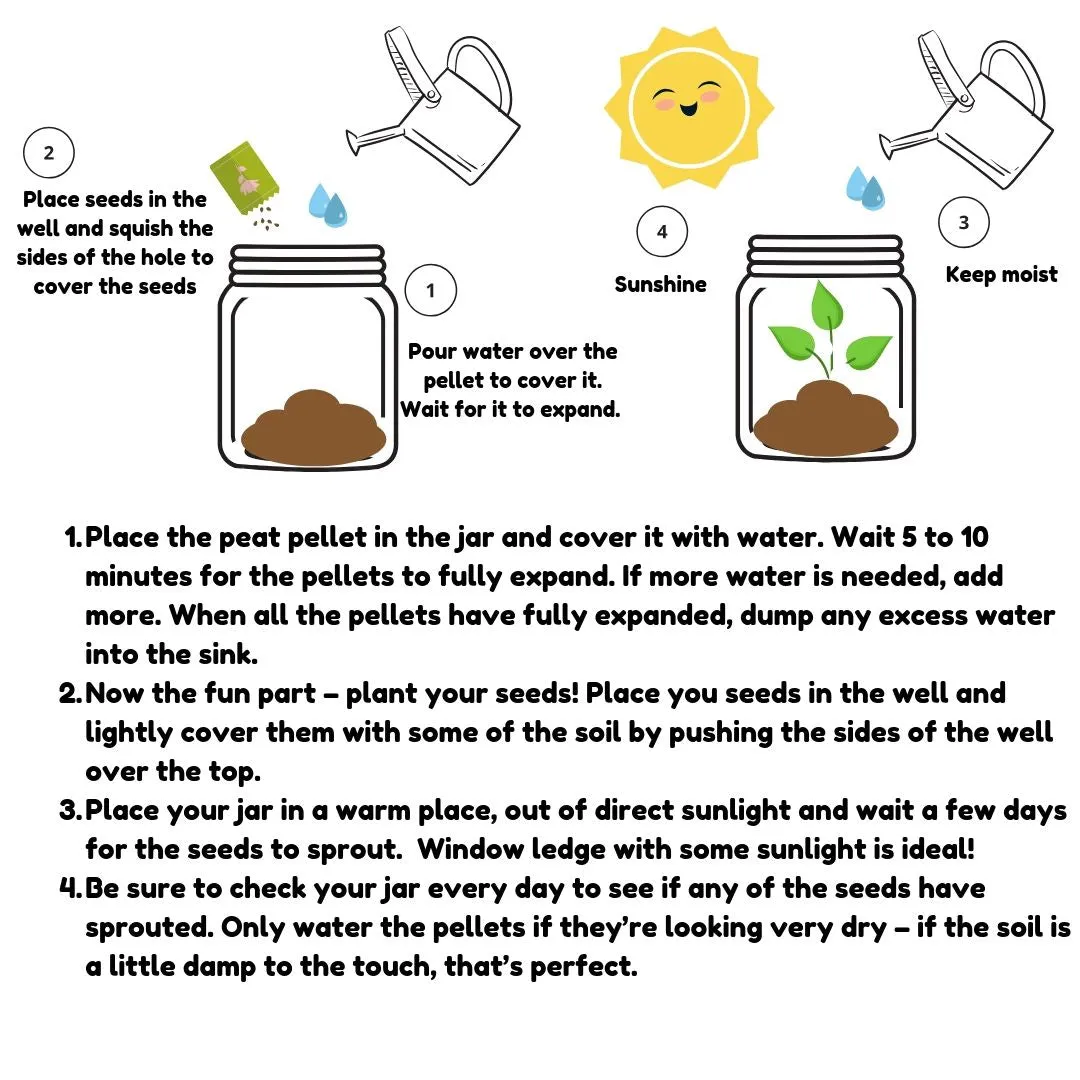 Diy Flower Head Planting Jar Kit