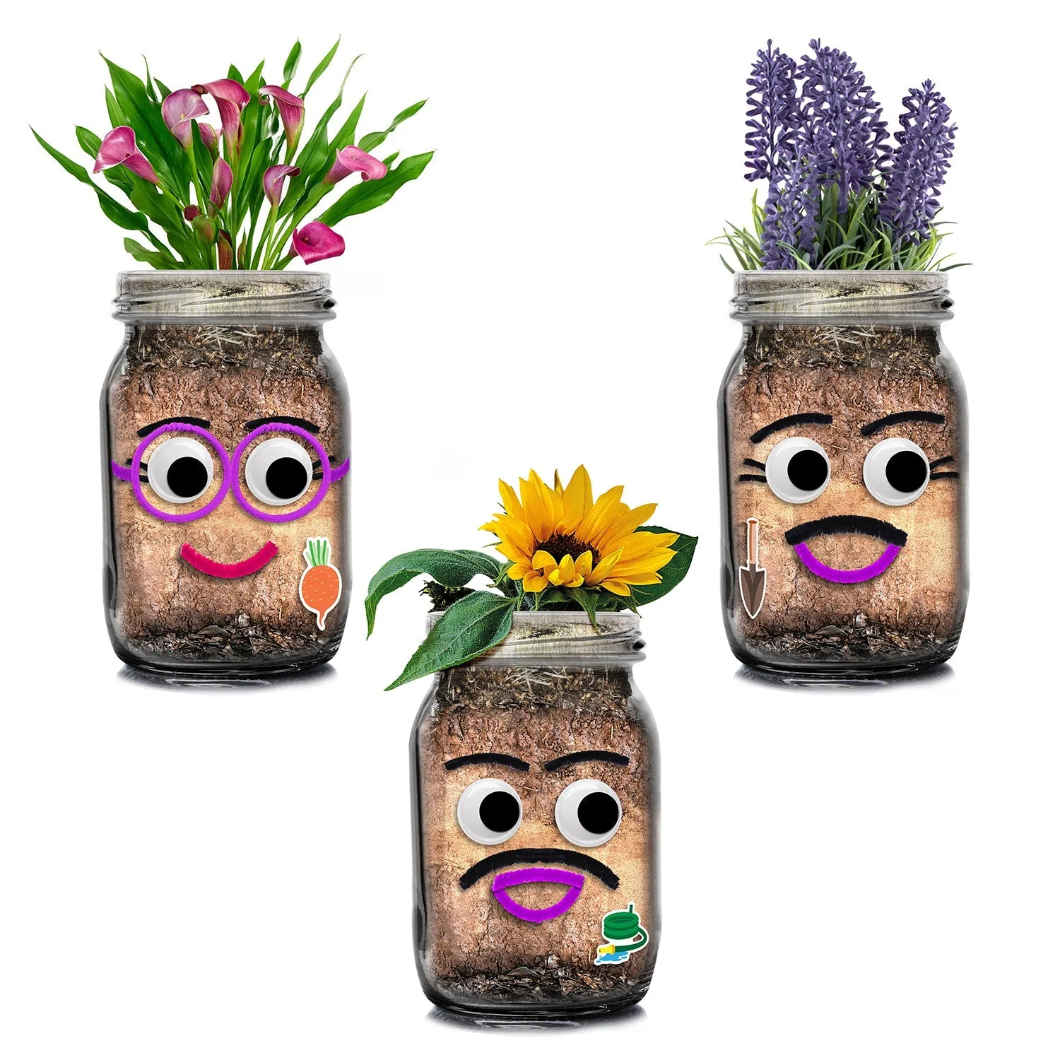 Diy Flower Head Planting Jar Kit