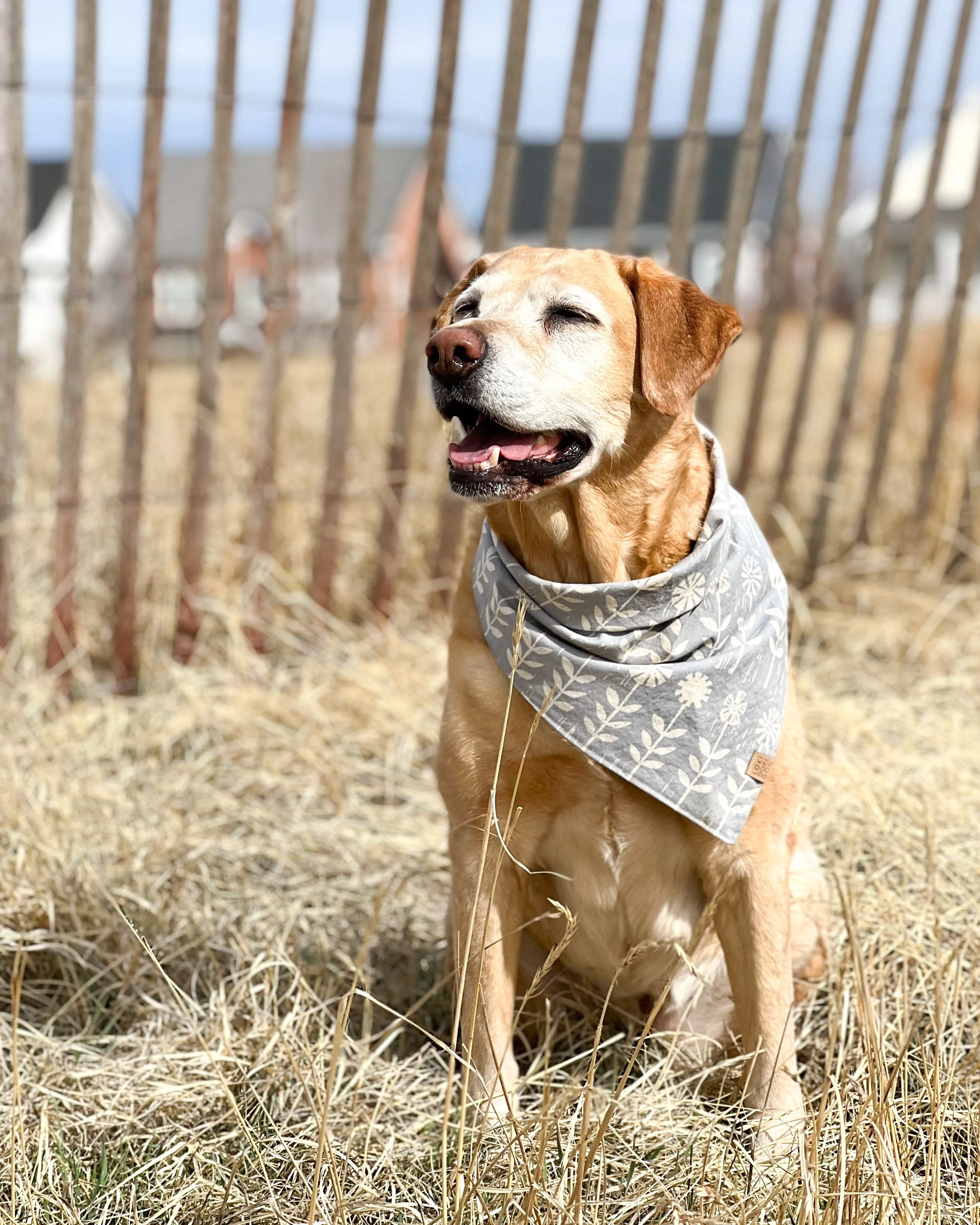Flower Patch Dog Bandana (Personalization Available)