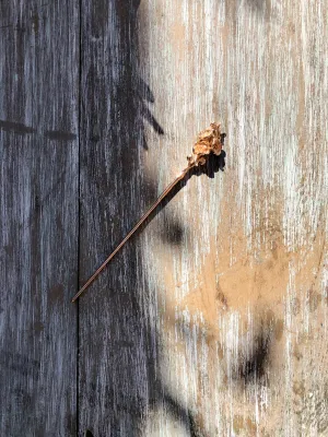 Forget Me Not Gold Hair Stick