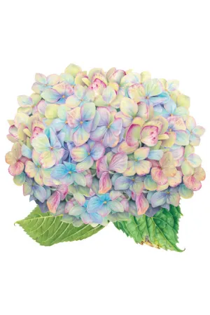 Hydrangea Placemats