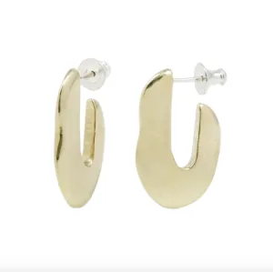 iesha hoops