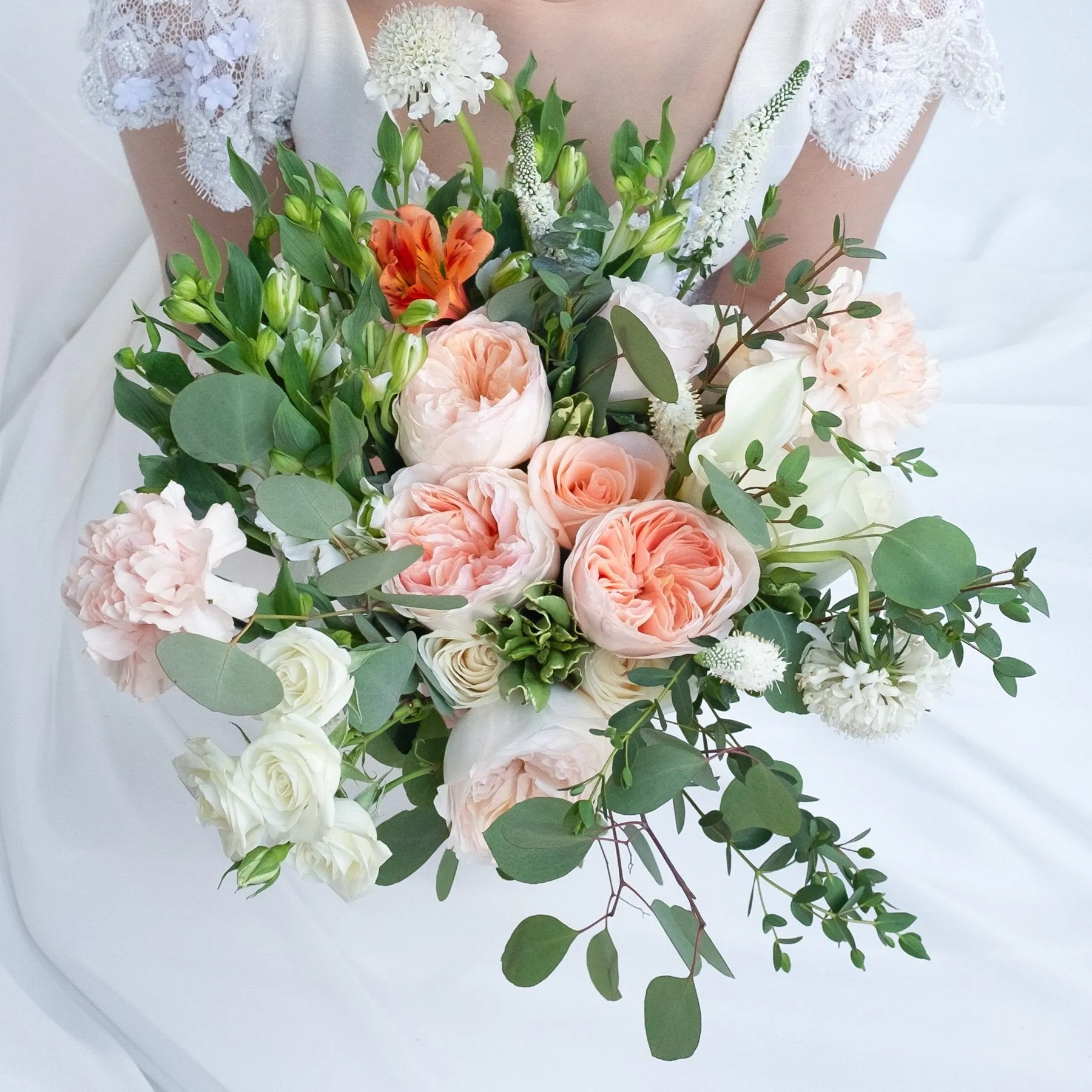 Intimate Package | Coral Blossom