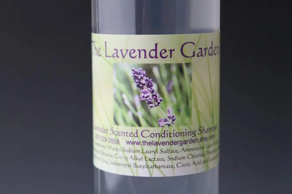 Lavender scented conditioning Shampoo - 8 oz bottle