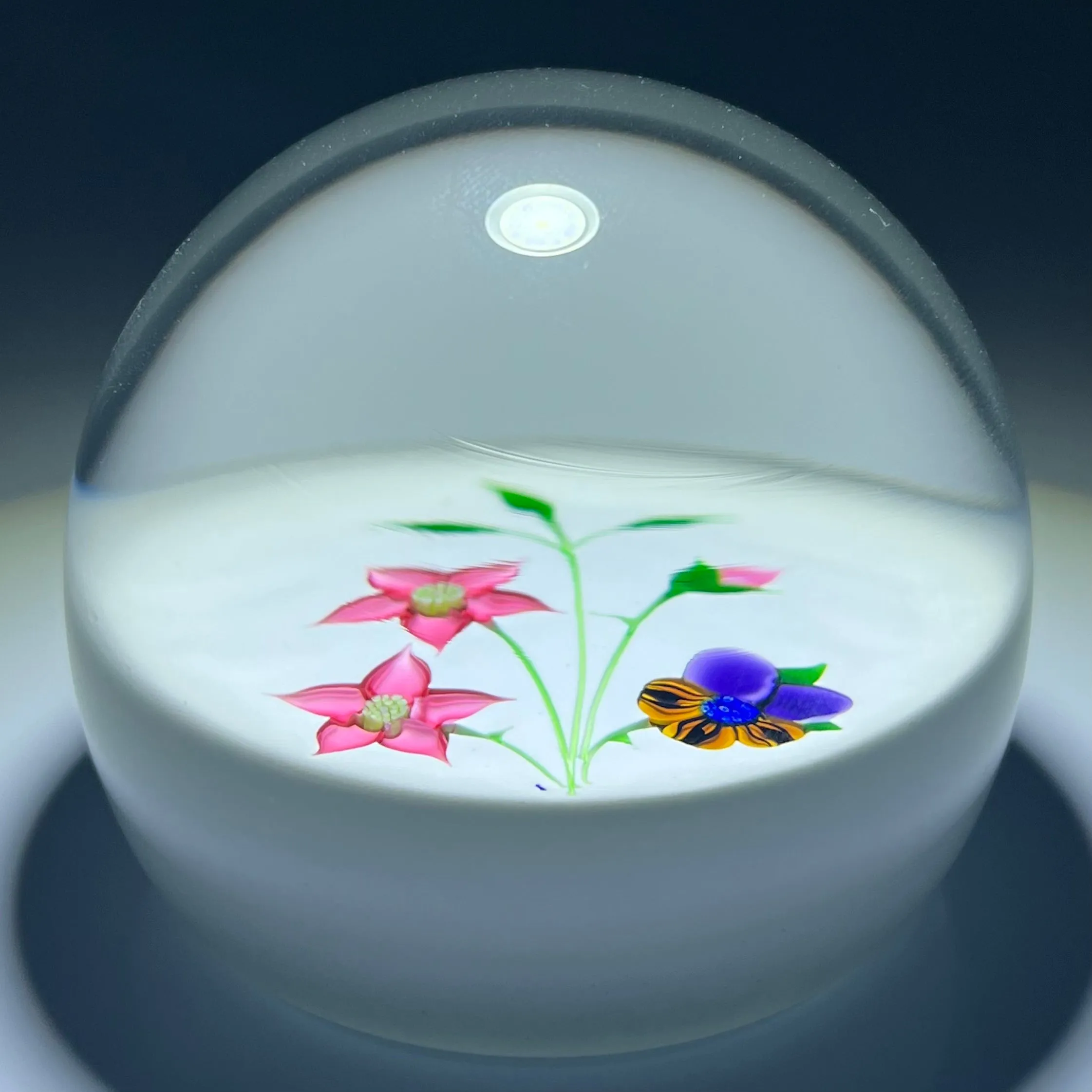 LE Caithness Whitefriars 1985 Flamework Pansy Bouquet on Opaque White Ground