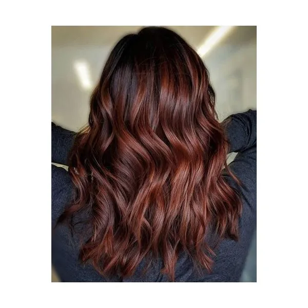 L'oreal Professionnel Paris INOA Ammonia-free Permanent Hair Color - 4.20 (Extra Burgendy Brown)