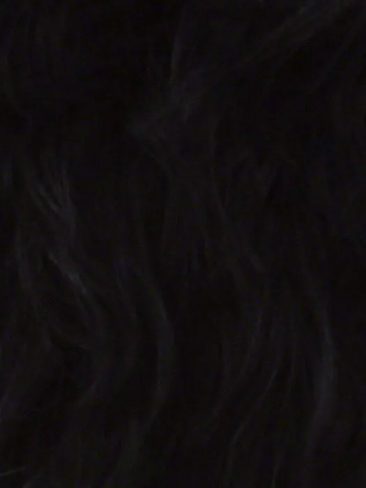 Melrose by Vivica Fox | Long Curly Lace Front Wig | CLOSEOUT
