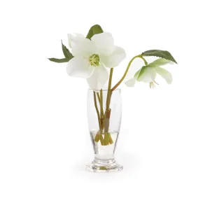 NAPA Home & Garden, HELLEBORES ARRANGEMENT IN URN 7",CC274WH