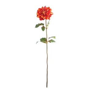 Napa Home Garden, DAHLIA STEM 26" OR/RD,gp287rg