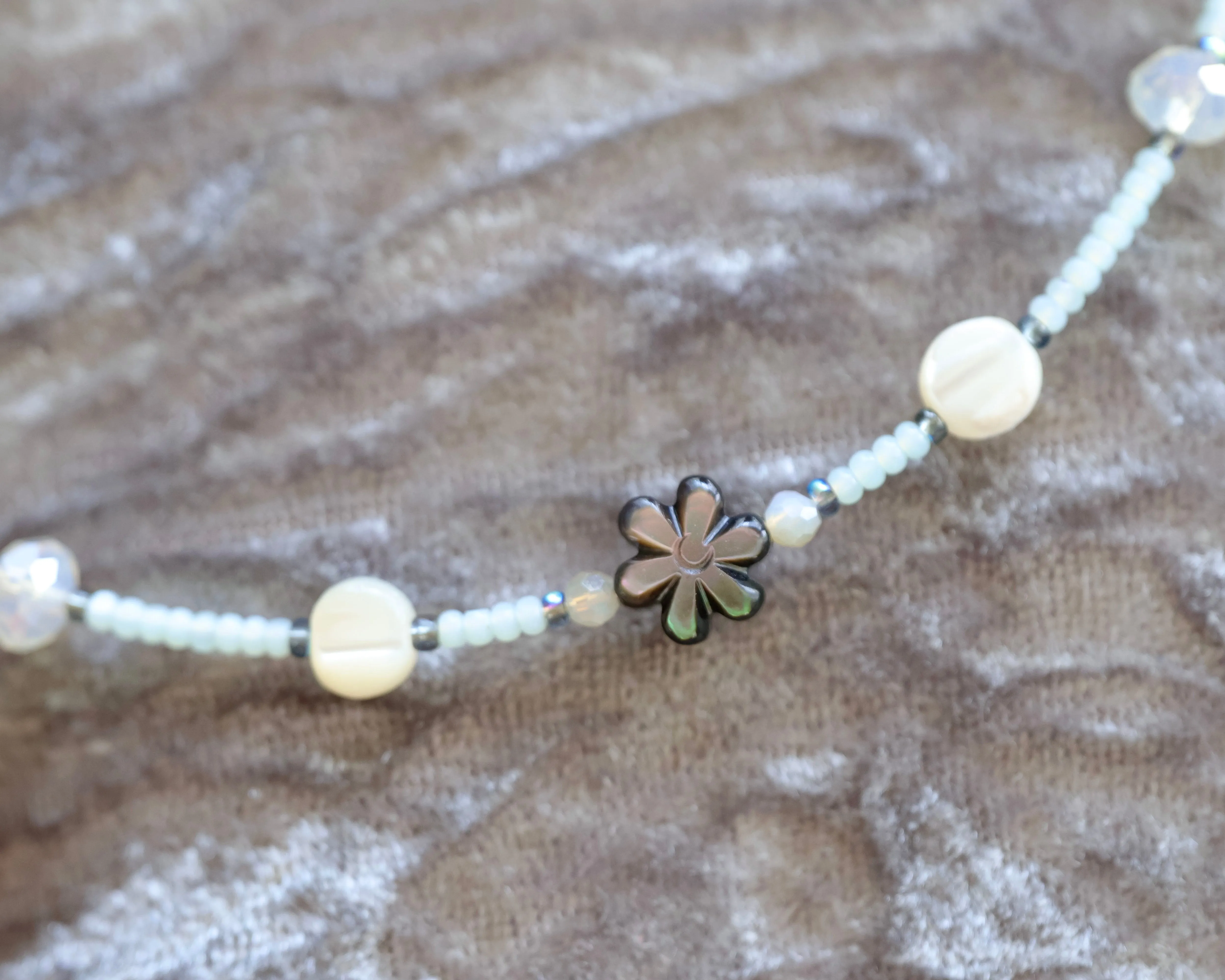 Pale Mint   Seashell Daisy