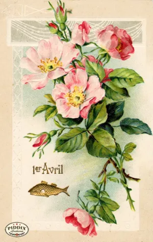 PDXC10215 -- Flower Cards Roses Avril