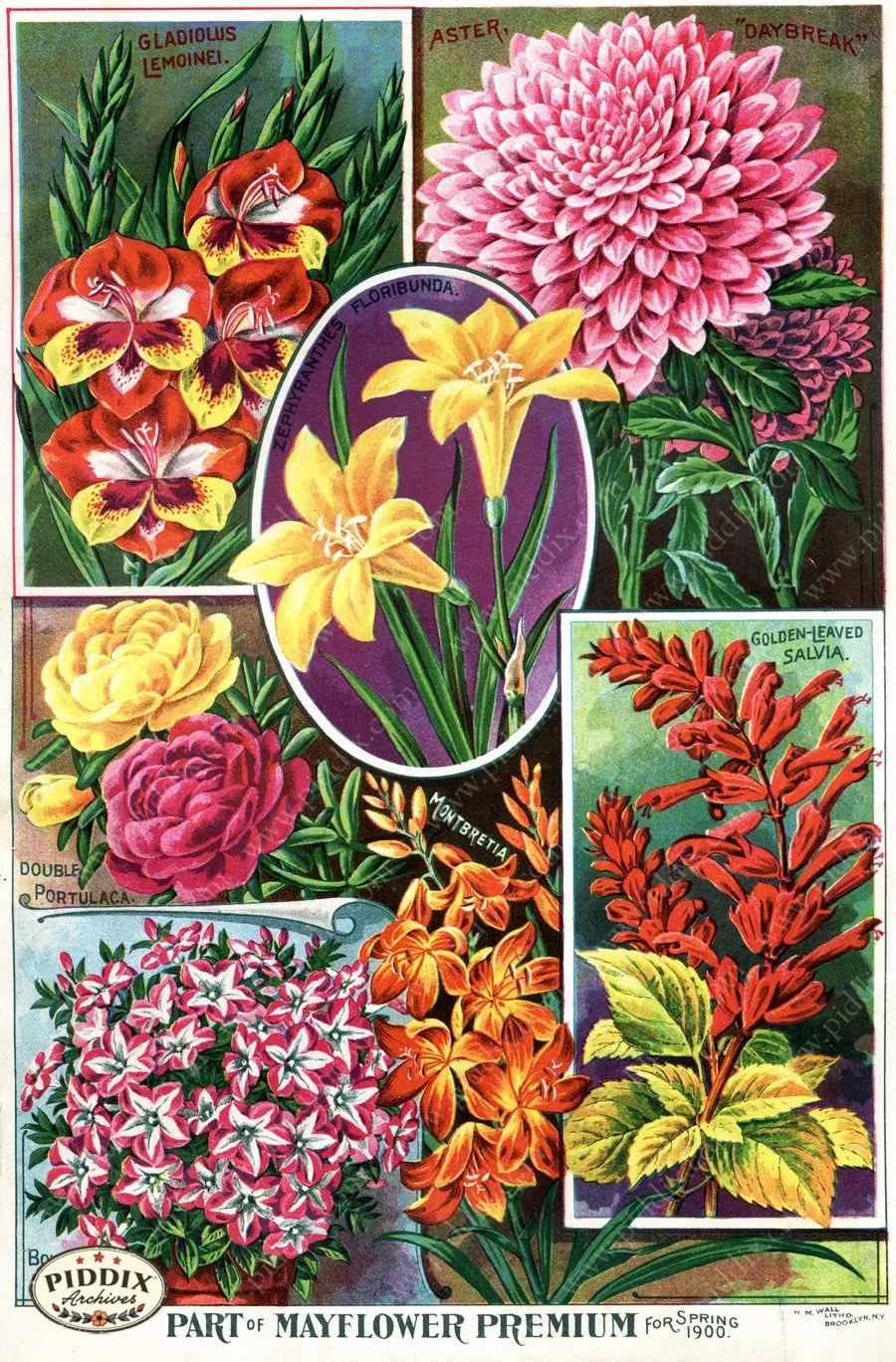 PDXC1505 -- Flower Seed Catalogs