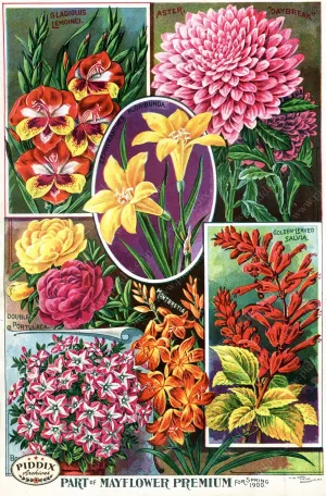 PDXC1505 -- Flower Seed Catalogs