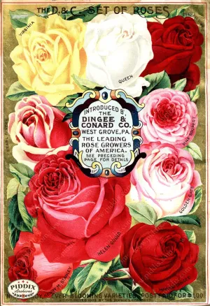 PDXC1510 -- Vintage Rose Culture Catalogs