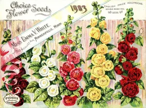 PDXC1535 -- Flower Seed Catalogs