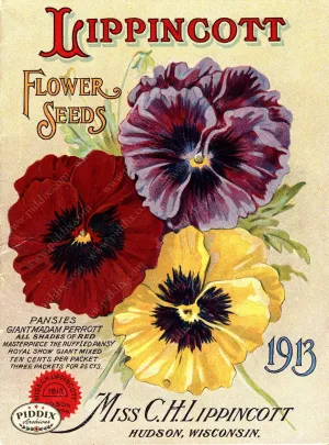 PDXC1541 -- Flower Seed Catalogs