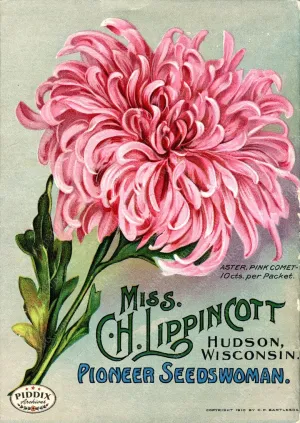 PDXC1543 -- Flower Seed Catalogs