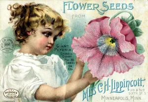 PDXC1545 -- Flower Seed Catalogs
