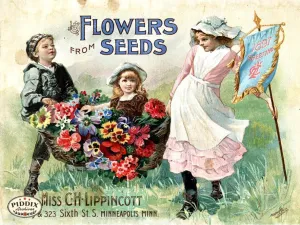 PDXC1547 -- Flower Seed Catalogs