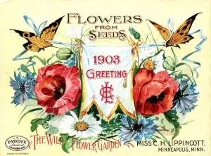 PDXC1551 -- Flower Seed Catalogs