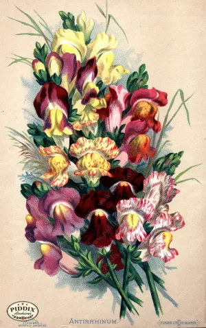 PDXC1573 -- Flower Seed Catalogs