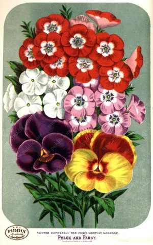 PDXC1580 -- Flower Seed Catalogs