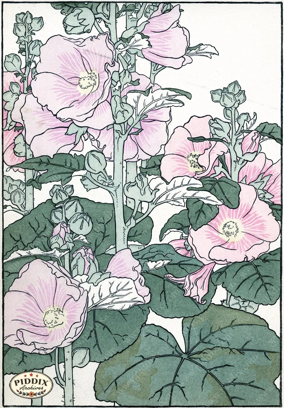 PDXC1857 -- Flowers