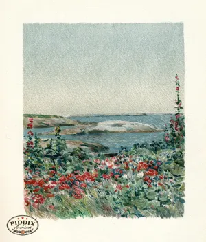 PDXC20307 -- Flowers and Sea