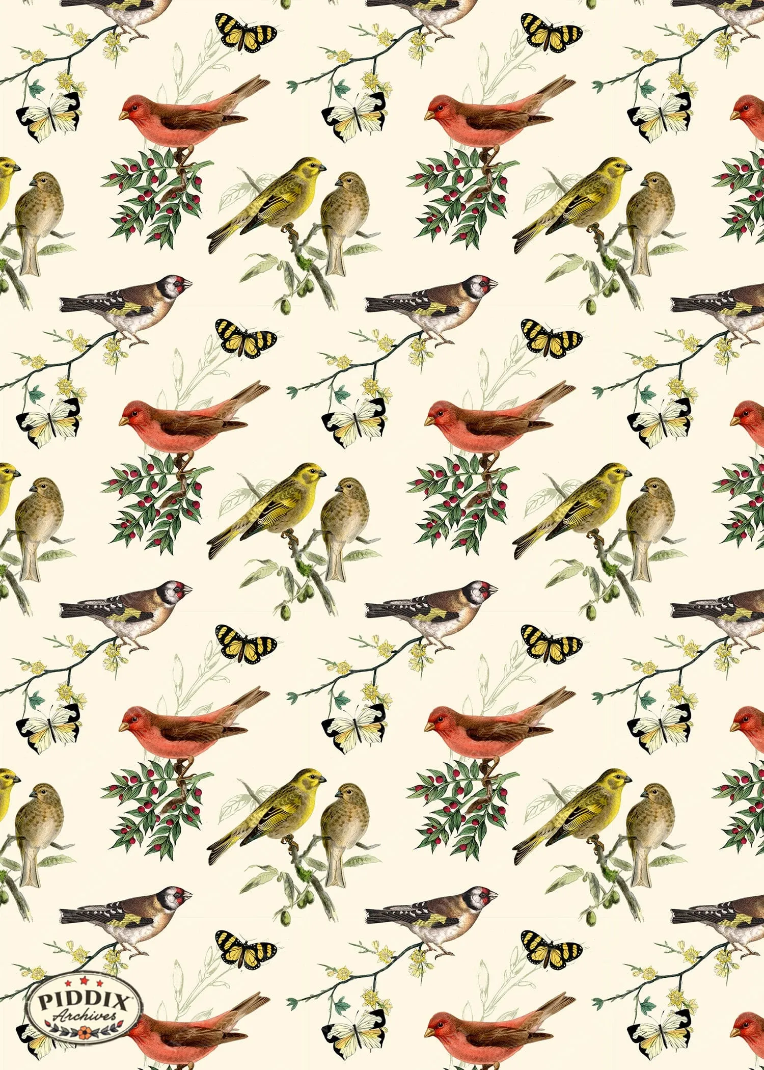 PDXC21035 Bird Pattern -- Birds Flowers and Butterflies