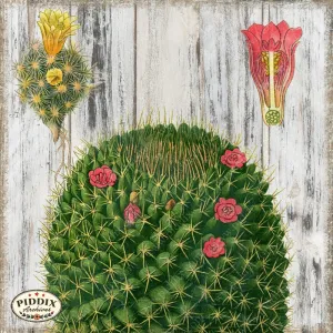 PDXC3965c -- Flowers on Distressed Wood