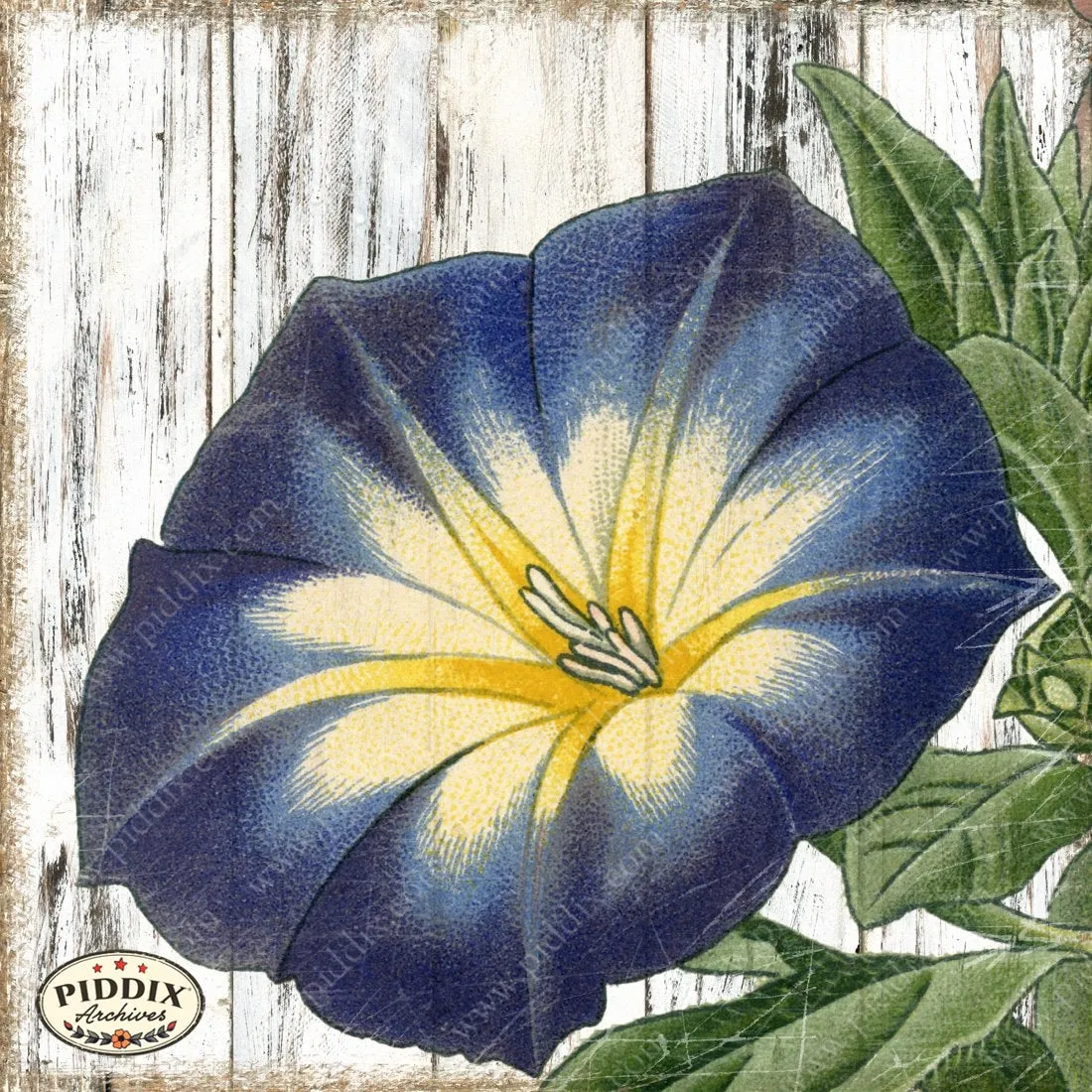 PDXC4044c -- Flowers on Distressed Wood