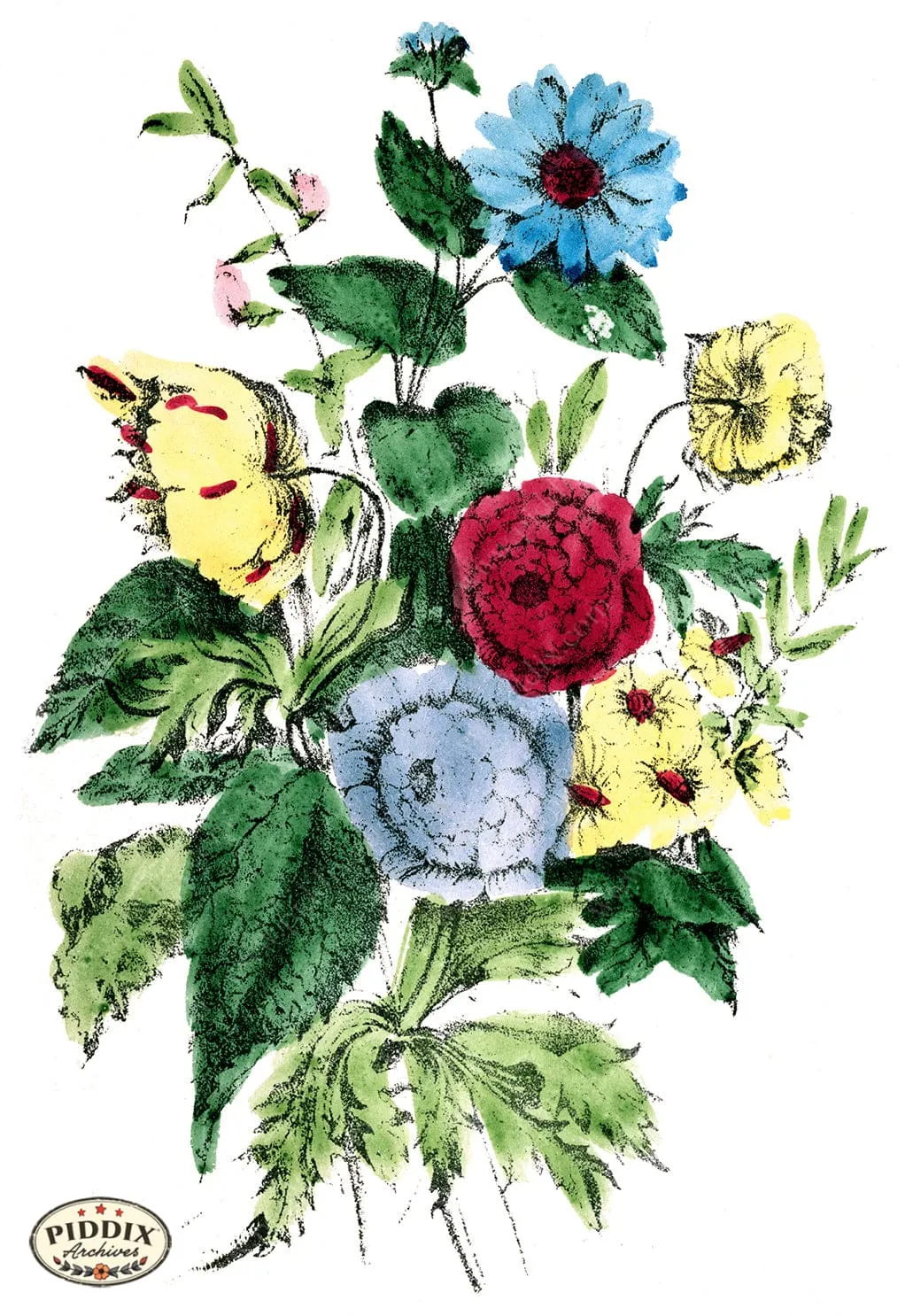 PDXC4326 -- Flowers