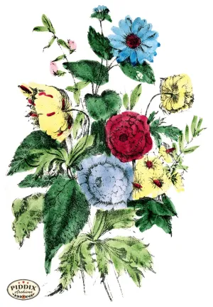 PDXC4326 -- Flowers