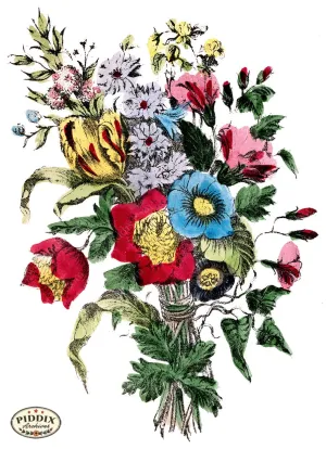 PDXC4330 -- Flowers