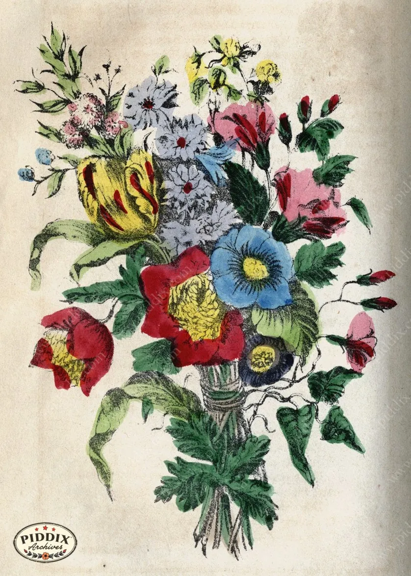 PDXC4330 -- Flowers