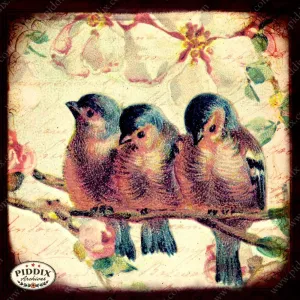 PDXC5106 -- Flora & Fauna