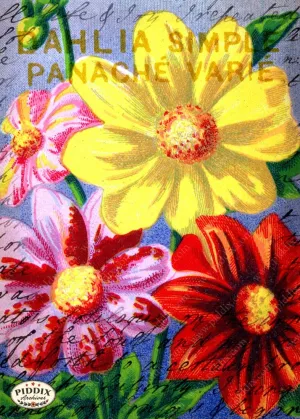 PDXC5113 -- French Seed Packets